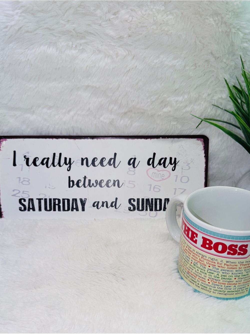 Decorative Sign “I really need a day between SATURDAY&SUNDAY" Plus Coffee Mug ☕️